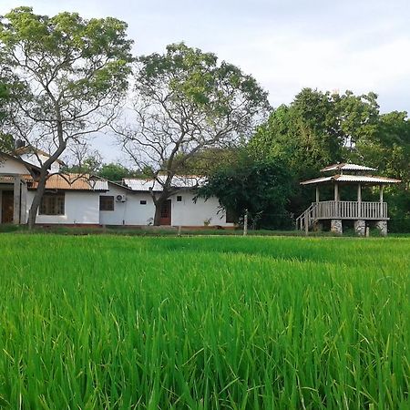 Hotel Willpattu Wild Watch Habawewa Zewnętrze zdjęcie
