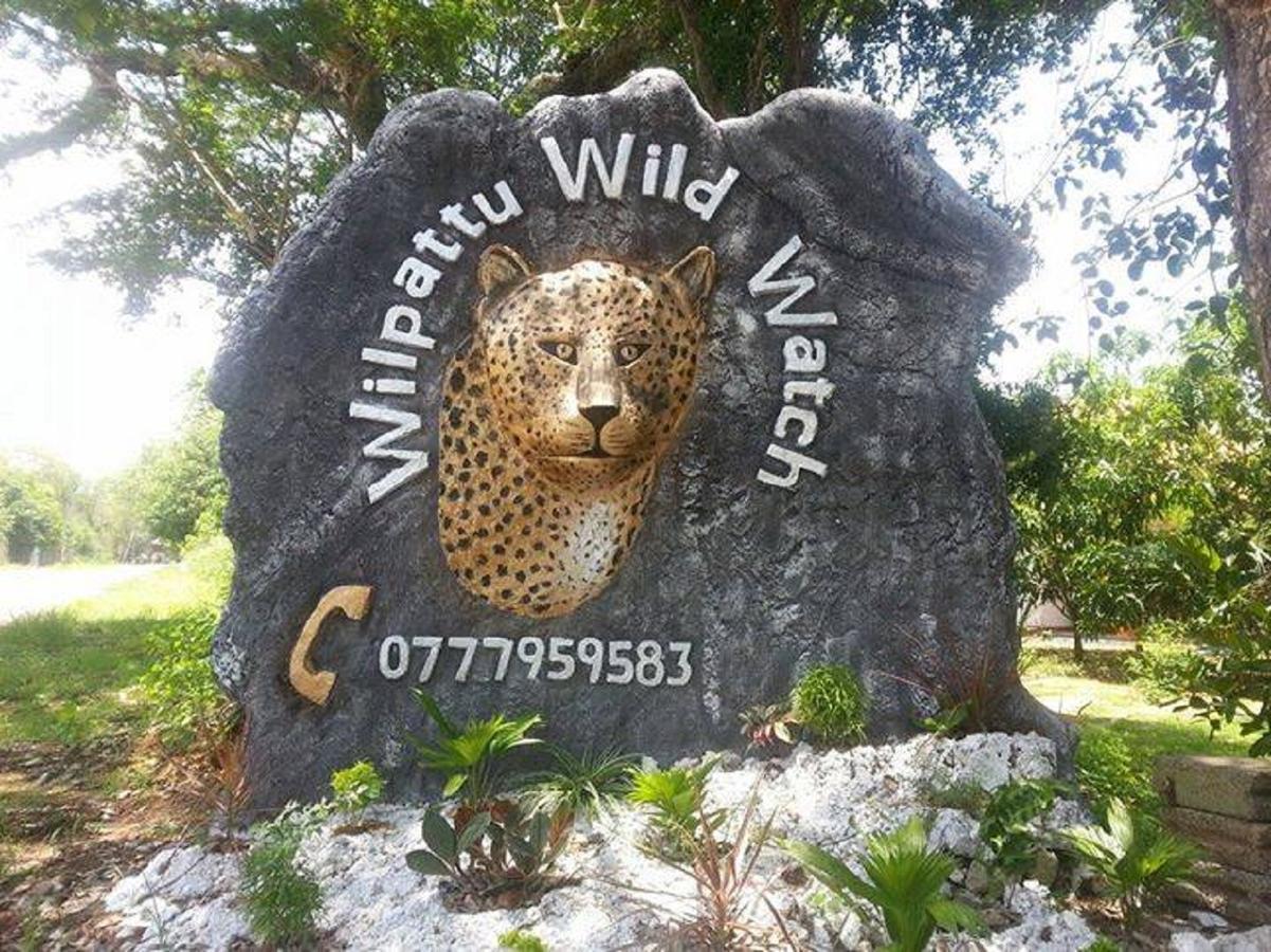 Hotel Willpattu Wild Watch Habawewa Zewnętrze zdjęcie
