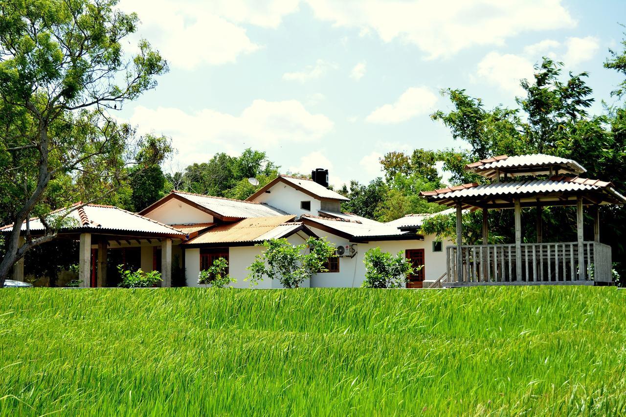 Hotel Willpattu Wild Watch Habawewa Zewnętrze zdjęcie